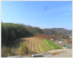  2024Ÿ��2353  �����