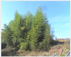  2024Ÿ��2353  �����