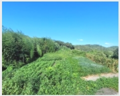  2024Ÿ��2353  �����