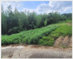  2024Ÿ��2353  �����