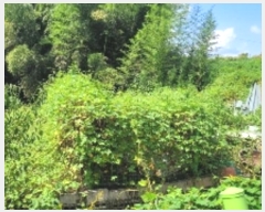  2024Ÿ��2353  �����