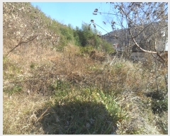  2024Ÿ��2506 �泲 â���� ���������� ����� ������ 633-1     ����(����)���