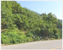  2024Ÿ��2506 �泲 â���� ���������� ����� ������ 633-1     ����(����)���