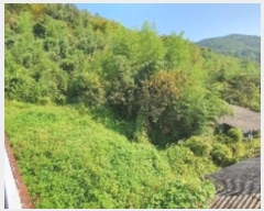  2024Ÿ��2506 �泲 â���� ���������� ����� ������ 633-1     ����(����)���