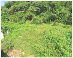  2024Ÿ��2506 �泲 â���� ���������� ����� ������ 633-1     ����(����)���