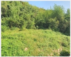  2024Ÿ��2506 �泲 â���� ���������� ����� ������ 633-1     ����(����)���