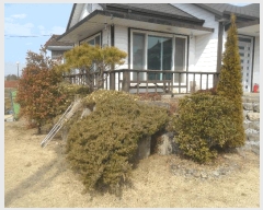  2024Ÿ2957 泲 Ծȱ  ׸ 239-130      ð