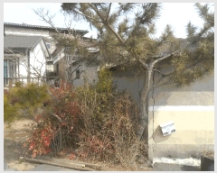  2024Ÿ2957 泲 Ծȱ  ׸ 239-130      ð