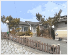  2024Ÿ2957 泲 Ծȱ  ׸ 239-130      ð