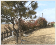  2024Ÿ2957 泲 Ծȱ  ׸ 239-130      ð