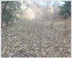  2024Ÿ��3394 �泲 â���� ���������� ������ �ݾϸ� 652-5     ����(�������)���