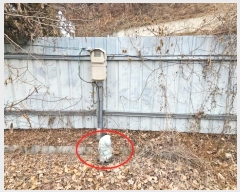  2024Ÿ��3448  ���������