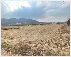  2024Ÿ��3493 �泲 �Ծȱ� ���θ� ������ 245-1      ����(��)���