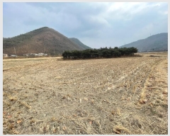  2024Ÿ��3493 �泲 �Ծȱ� ���θ� ������ 245-1      ����(��)���