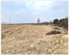  2024Ÿ��3493 �泲 �Ծȱ� ���θ� ������ 245-1      ����(��)���