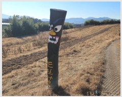  2024Ÿ3547 泲 Ծȱ  ָ 502      ()