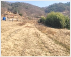  2024Ÿ3547 泲 Ծȱ  ָ 502      ()