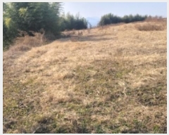  2024Ÿ3547 泲 Ծȱ  ָ 502      ()