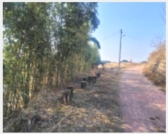  2024Ÿ3547 泲 Ծȱ  ָ 502      ()