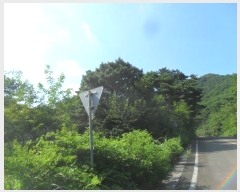  2024Ÿ102024 泲 â   縮 205-1     (Ӿ)