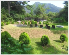  2024Ÿ��102024 �泲 â���� ���������� ������ ���縮 ��248-1     ����(�Ӿ�)���