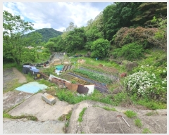  2024Ÿ��102222  ����