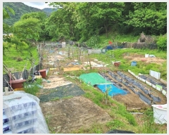  2024Ÿ��102222  ����