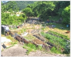  2024Ÿ��102222  ����