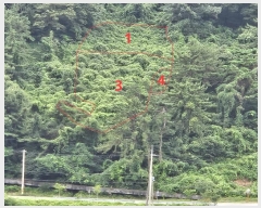  2024Ÿ104105 泲 â  ϸ и 50     (1)