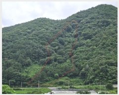  2024Ÿ104105 泲 â  ϸ и 50     (1)