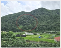  2024Ÿ104105 泲 â  ϸ и 50     (1)