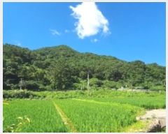  2024Ÿ104105 泲 â  ϸ и 50     (1)