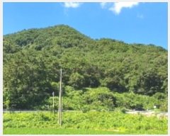  2024Ÿ104105 泲 â  ϸ и 50     (1)