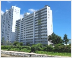  2024Ÿ104259 泲 â   1 33, 101 7704ȣ (âѸġ)  Ʈ