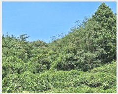  2024Ÿ��104556  �����