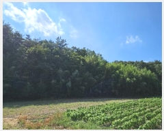  2024Ÿ��104556  �����