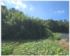  2024Ÿ��104556  �����