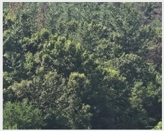  2024Ÿ��104556  �����