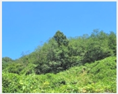  2024Ÿ��104556  �����