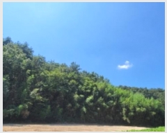  2024Ÿ��104556  �����