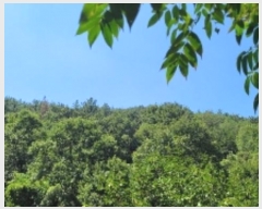  2024Ÿ��104556  �����