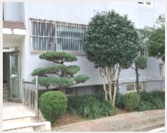  2024Ÿ104853 泲 â  ȭ7 23, 104 1101ȣ (â1,Ʈ)   Ʈ