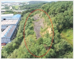  2024Ÿ104914 泲 Ծȱ ϸ  156-4      (Ӿ)