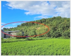  2024Ÿ104914 泲 Ծȱ ϸ  156-4      (Ӿ)