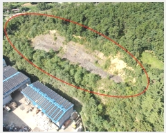  2024Ÿ104914 泲 Ծȱ ϸ  156-4      (Ӿ)