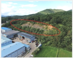  2024Ÿ104914 泲 Ծȱ ϸ  156-4      (Ӿ)