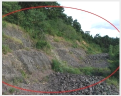  2024Ÿ104914 泲 Ծȱ ϸ  156-4      (Ӿ)