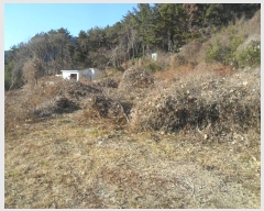  2024Ÿ��105269  ����