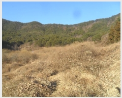  2024Ÿ��105269  ����