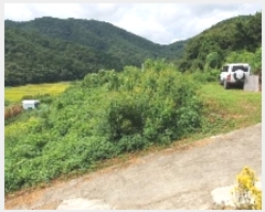  2024Ÿ��105269  ����